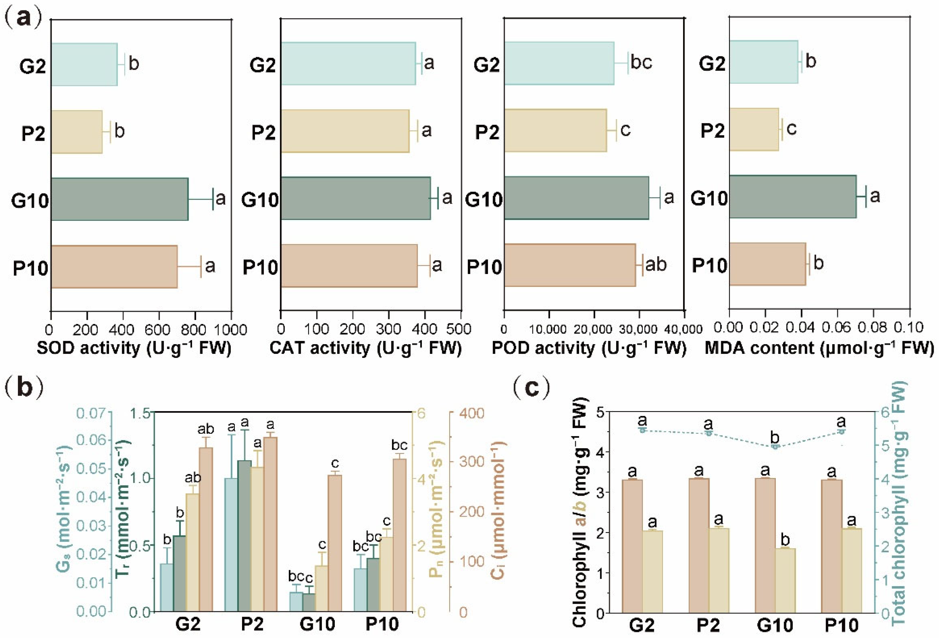 Toxics 14 00107 g003