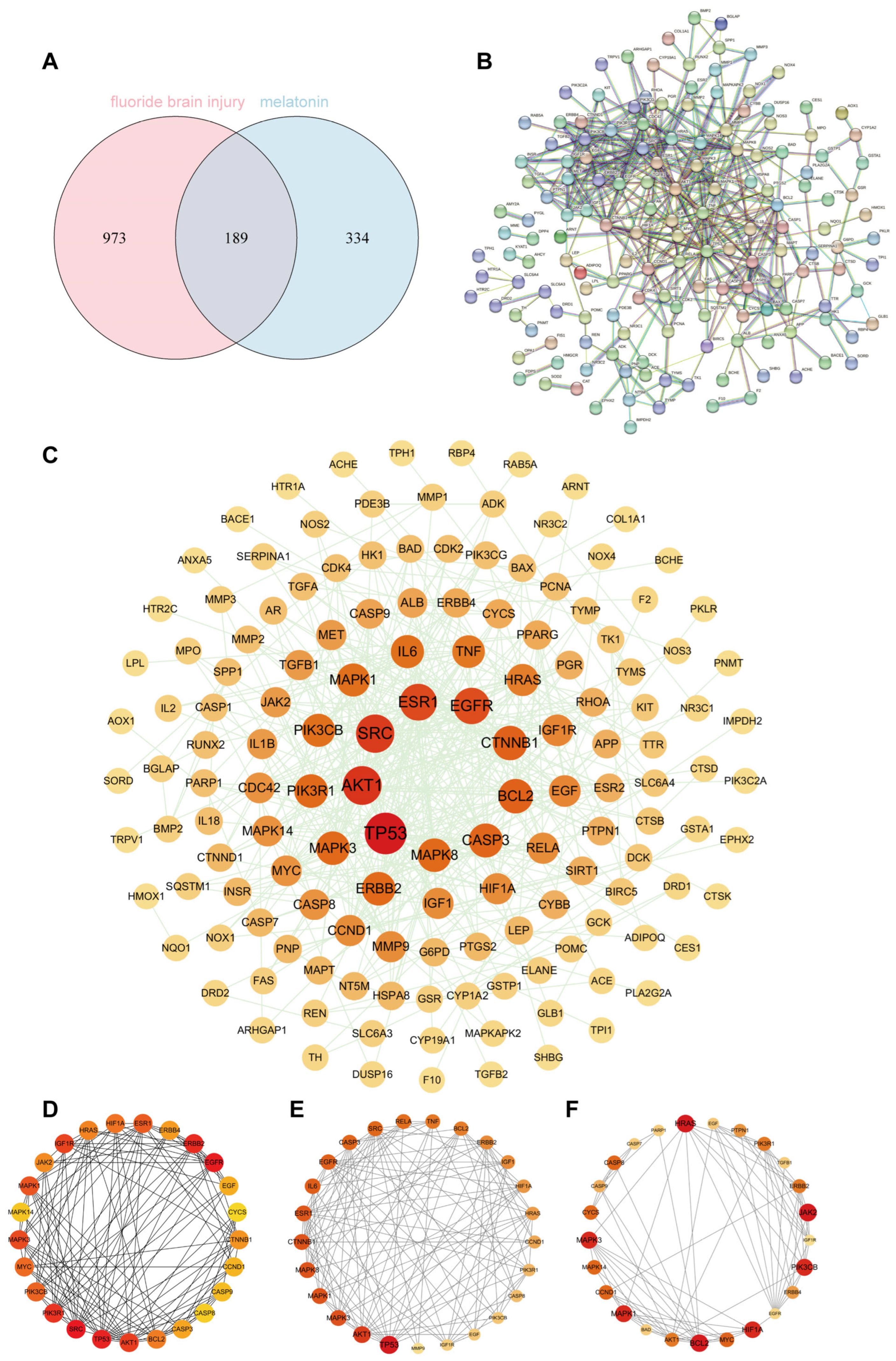 Toxics 14 00128 g001