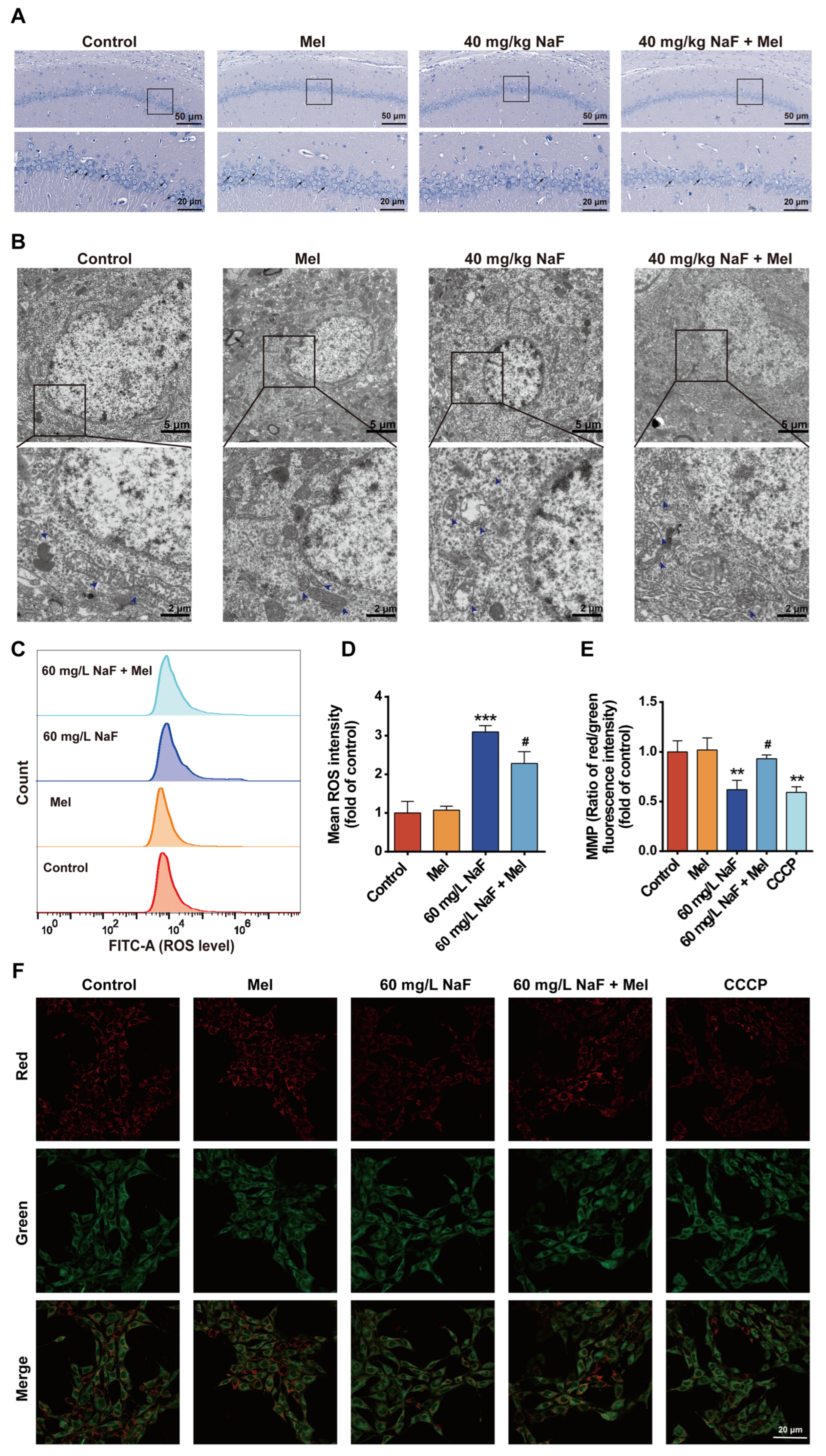 Toxics 14 00128 g004