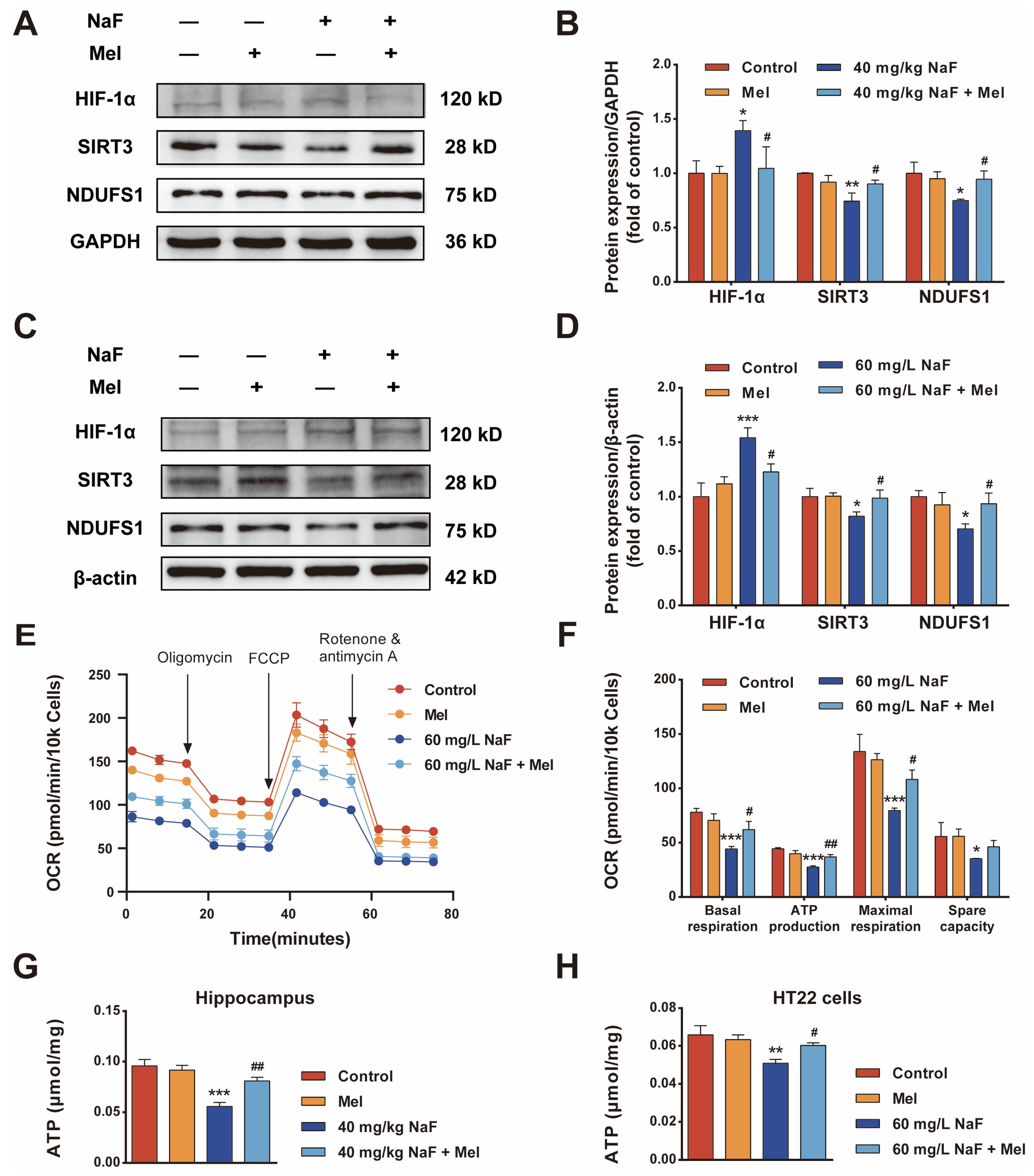 Toxics 14 00128 g005