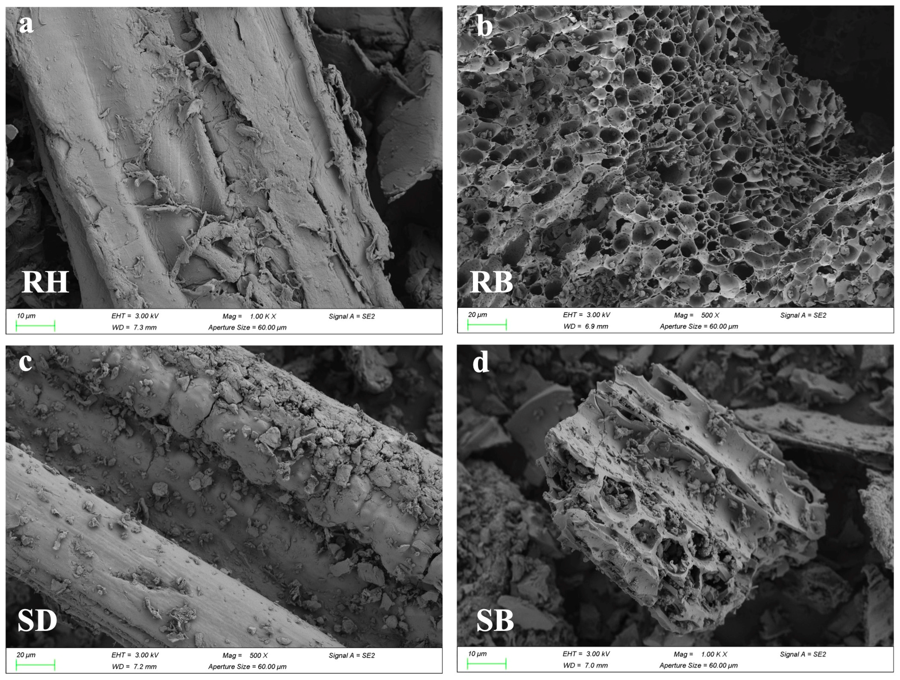 Toxics 14 00157 g001a Toxics 14 00157 g001a