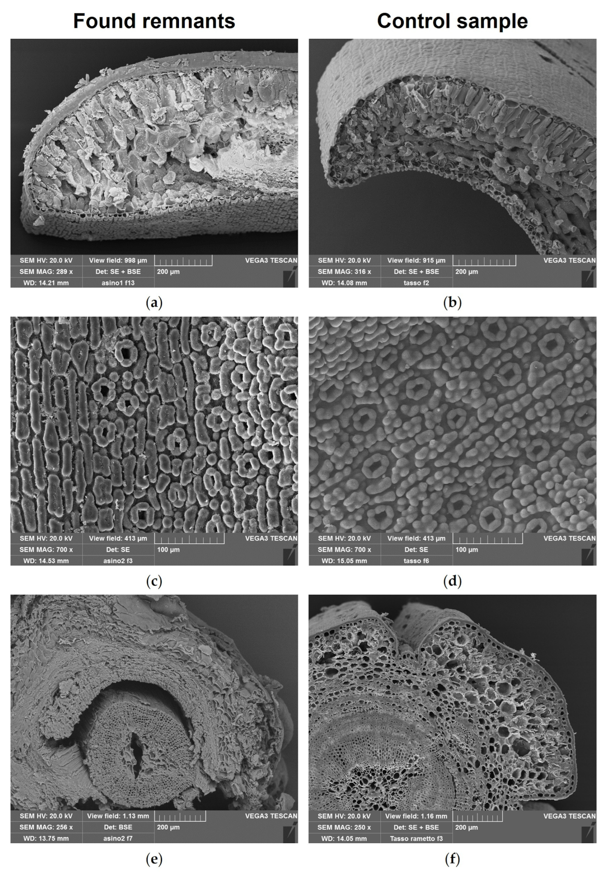 Toxics 14 00294 g004