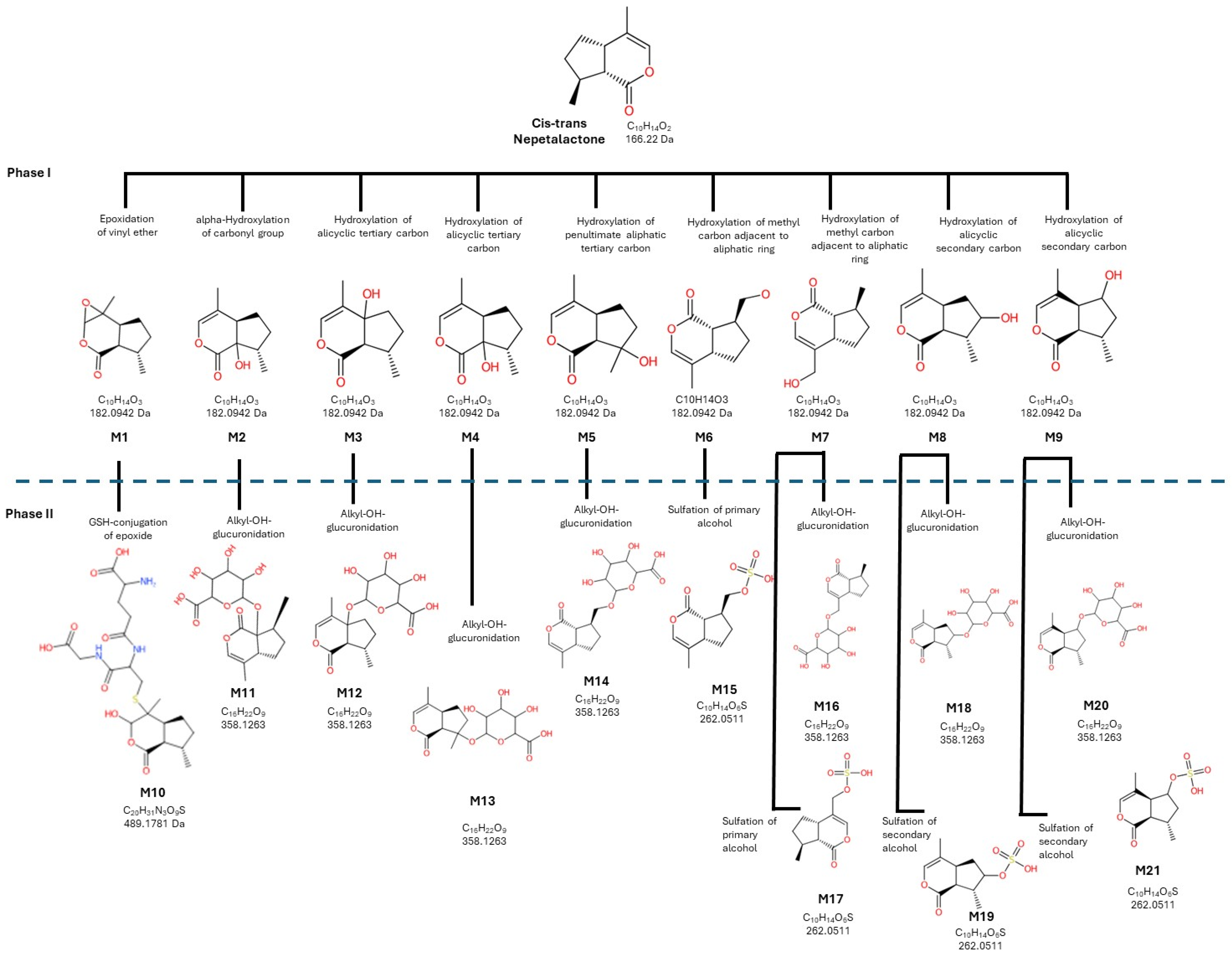 Toxics 14 00319 g001