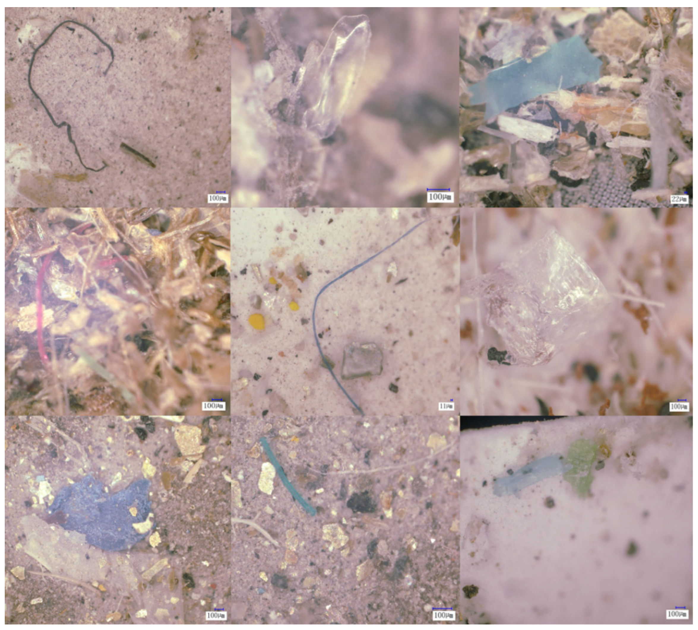 Toxics 14 00323 g0a1 Toxics 14 00323 g0a1