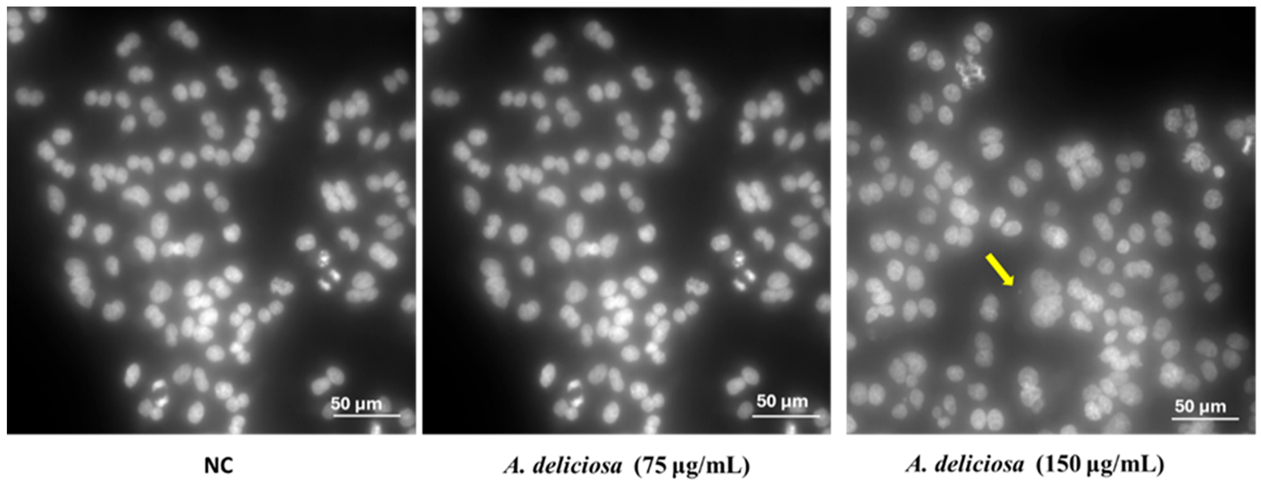 Toxics 14 00324 g005