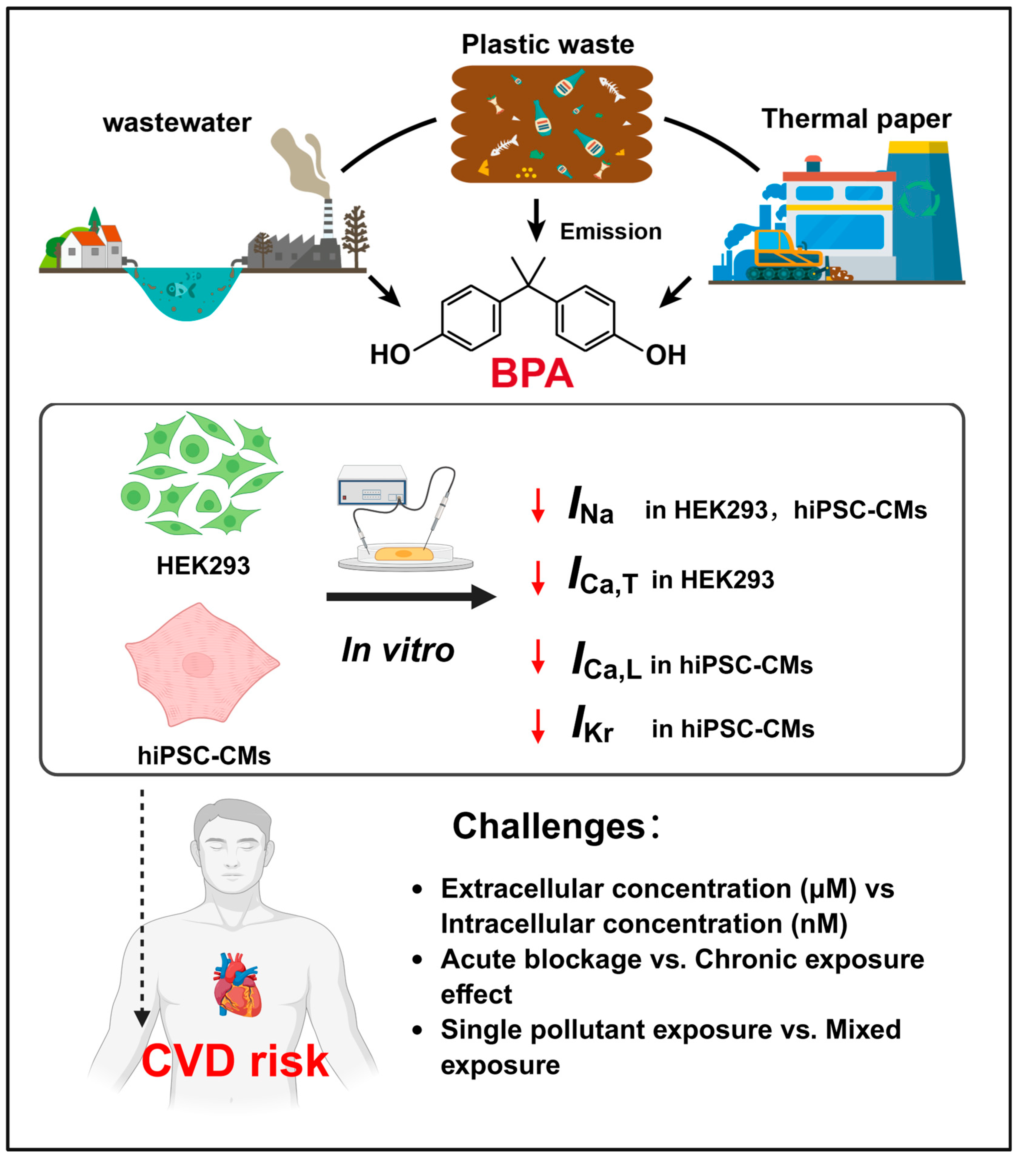 Toxics 14 00450 g001 Toxics 14 00450 g001