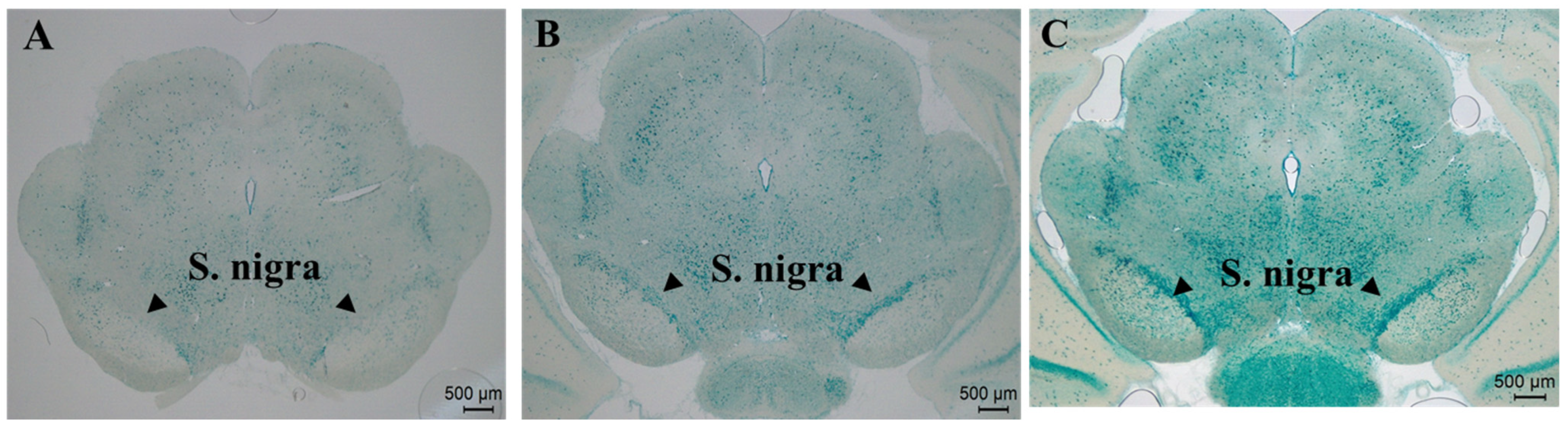 Toxics 14 00470 g004