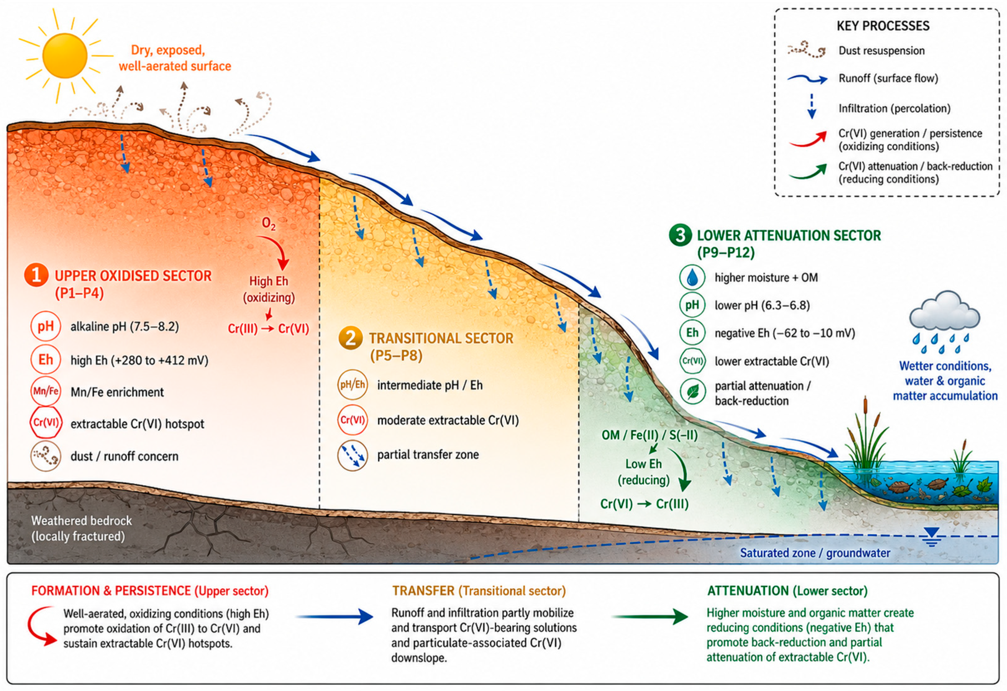 Toxics 14 00479 g006 Toxics 14 00479 g006