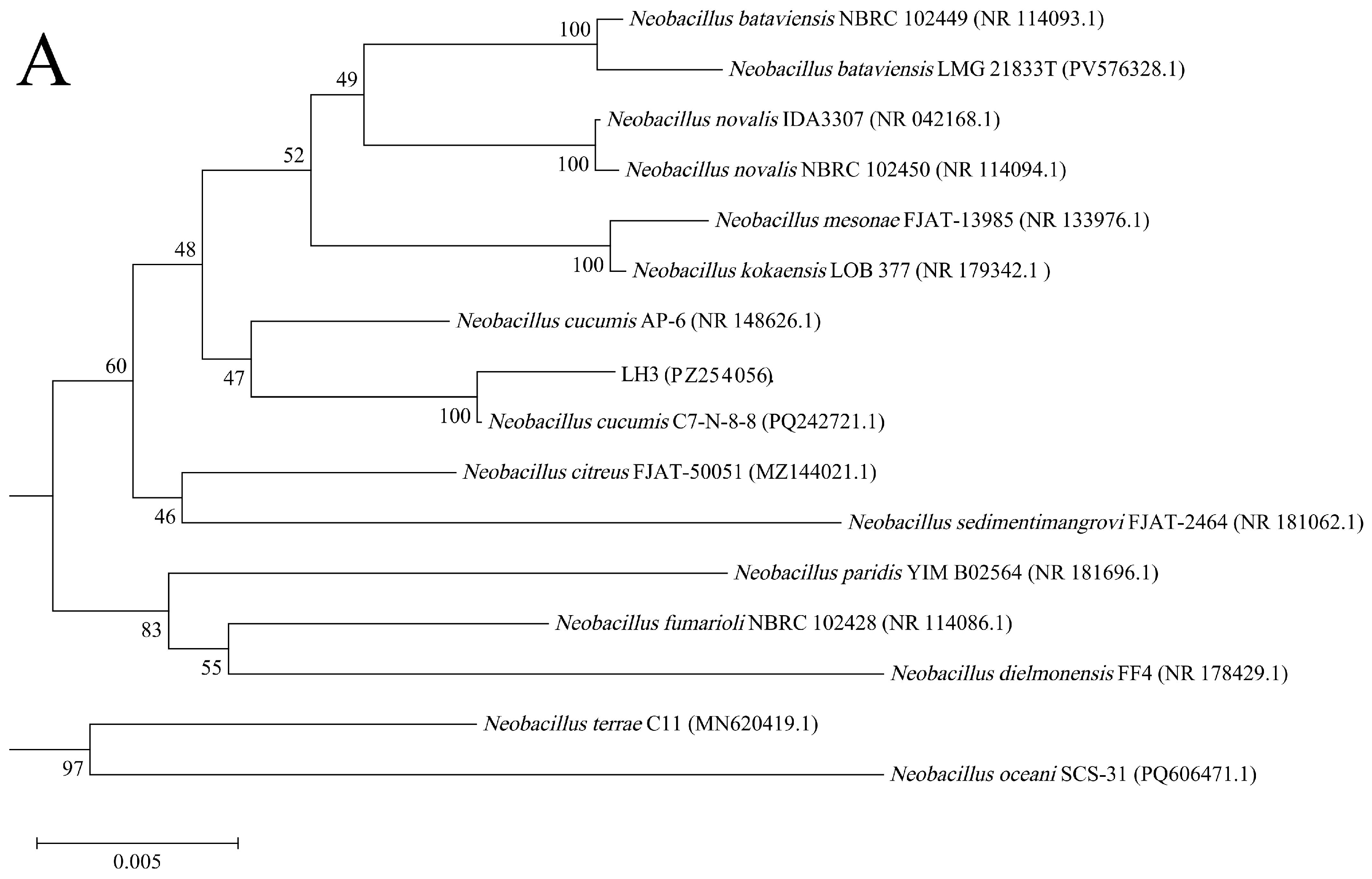 Toxics 14 00564 g003a Toxics 14 00564 g003a