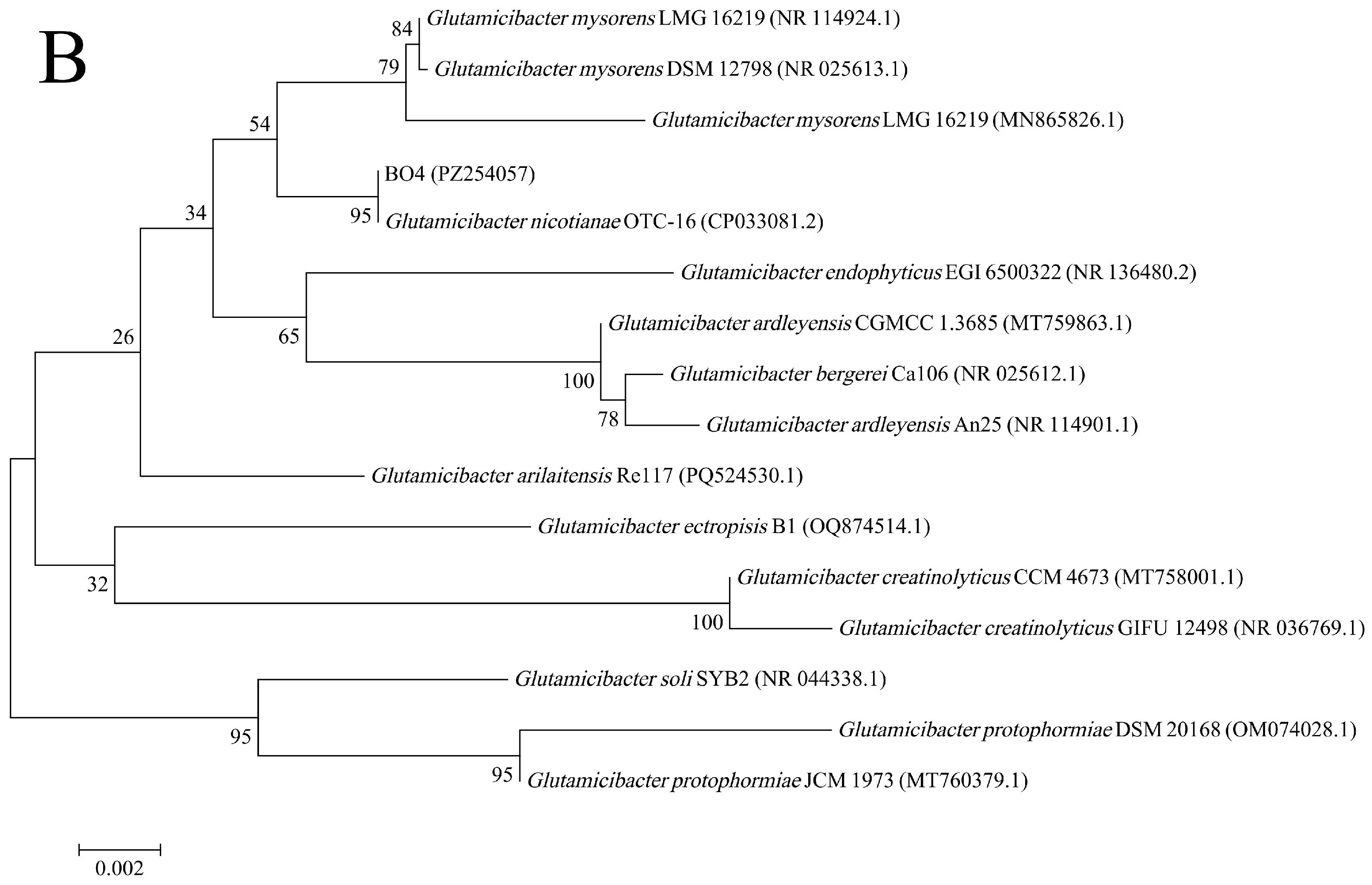 Toxics 14 00564 g003b Toxics 14 00564 g003b
