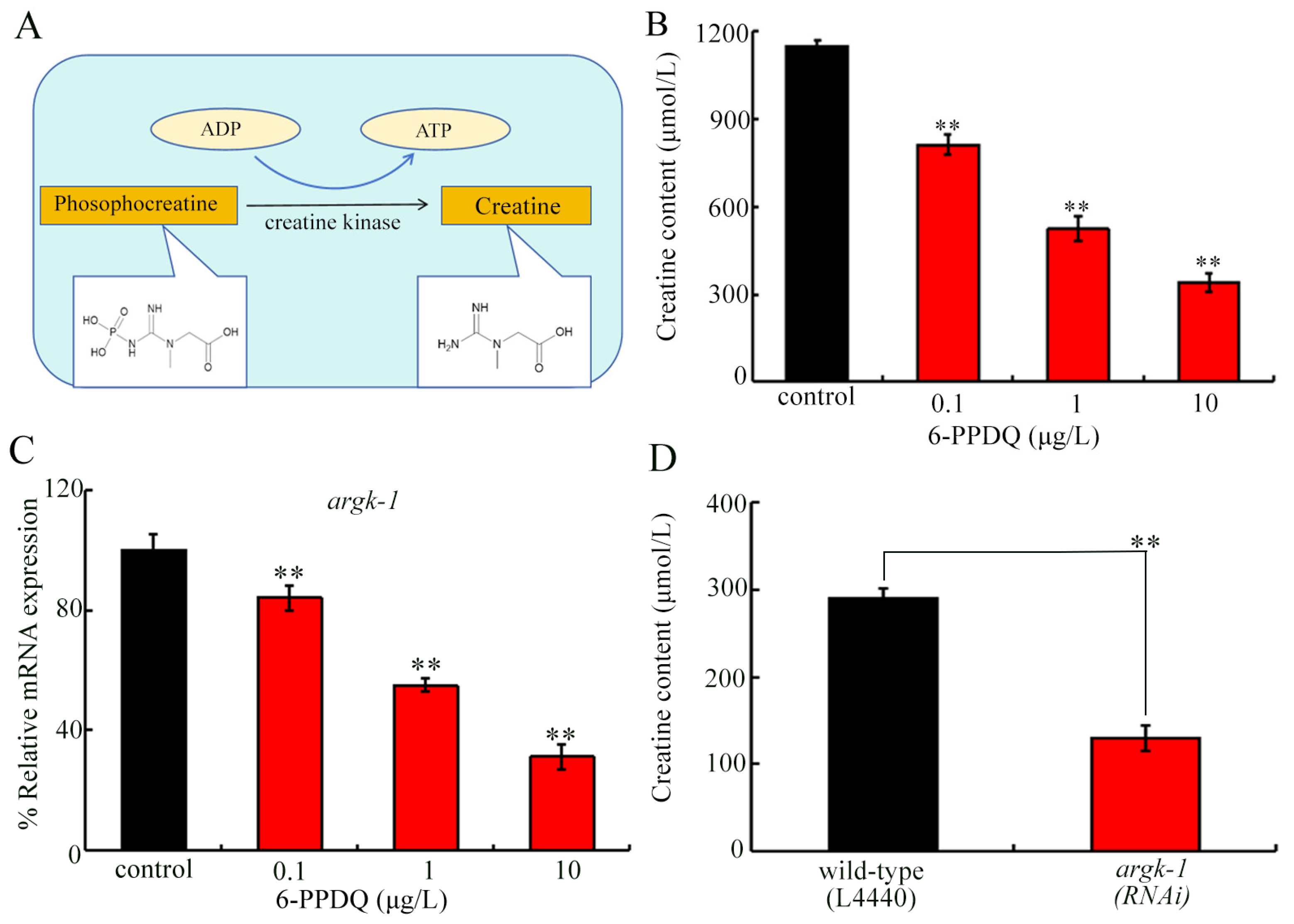 Toxics 14 00601 g001 Toxics 14 00601 g001