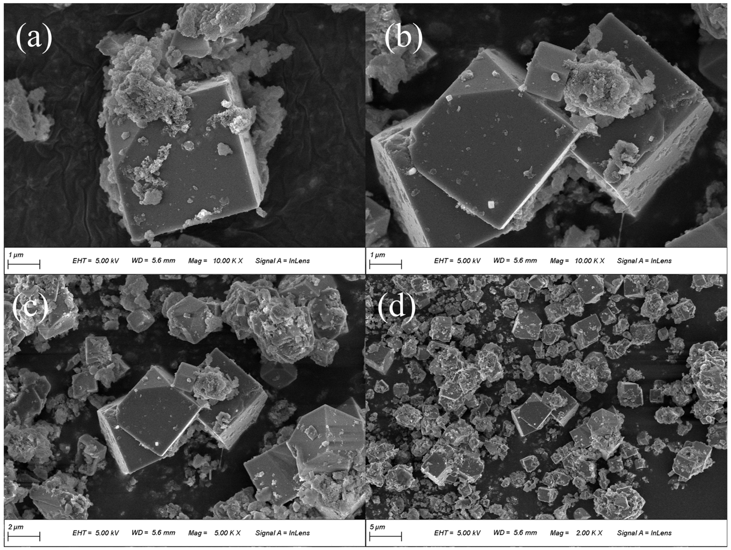 Toxics 14 00606 g001