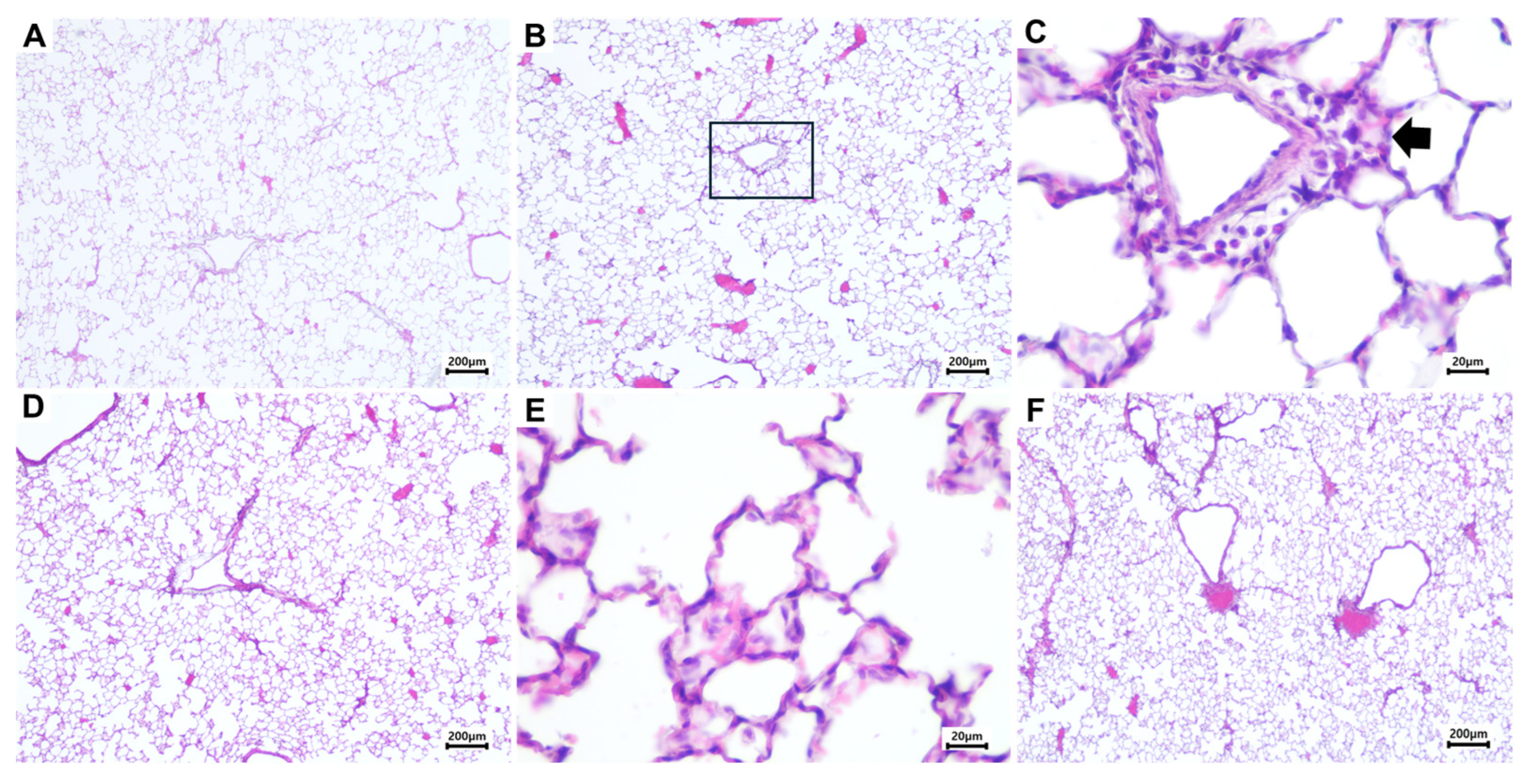 Toxics 14 00688 g003