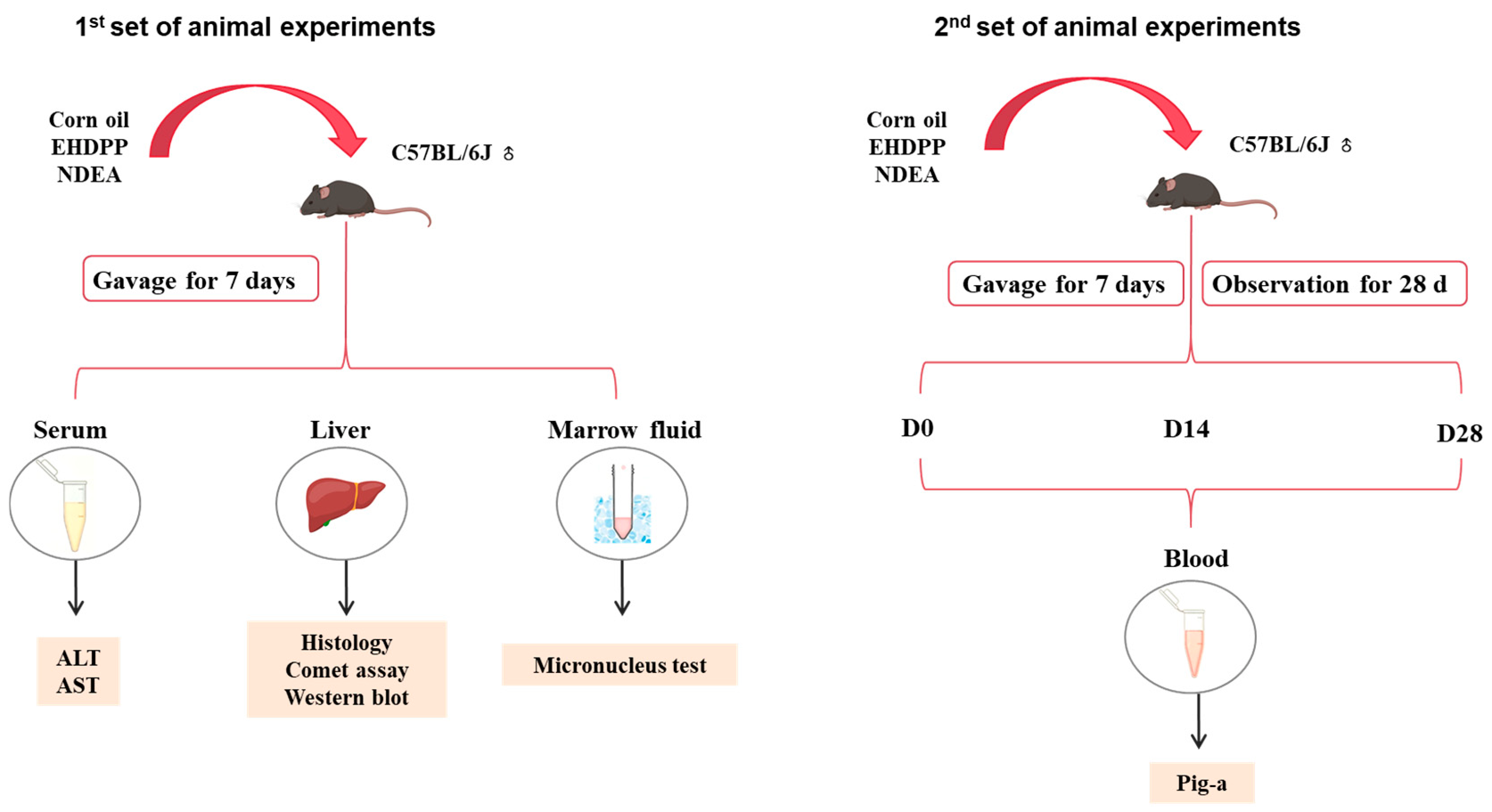 Toxics 14 00691 g001 Toxics 14 00691 g001