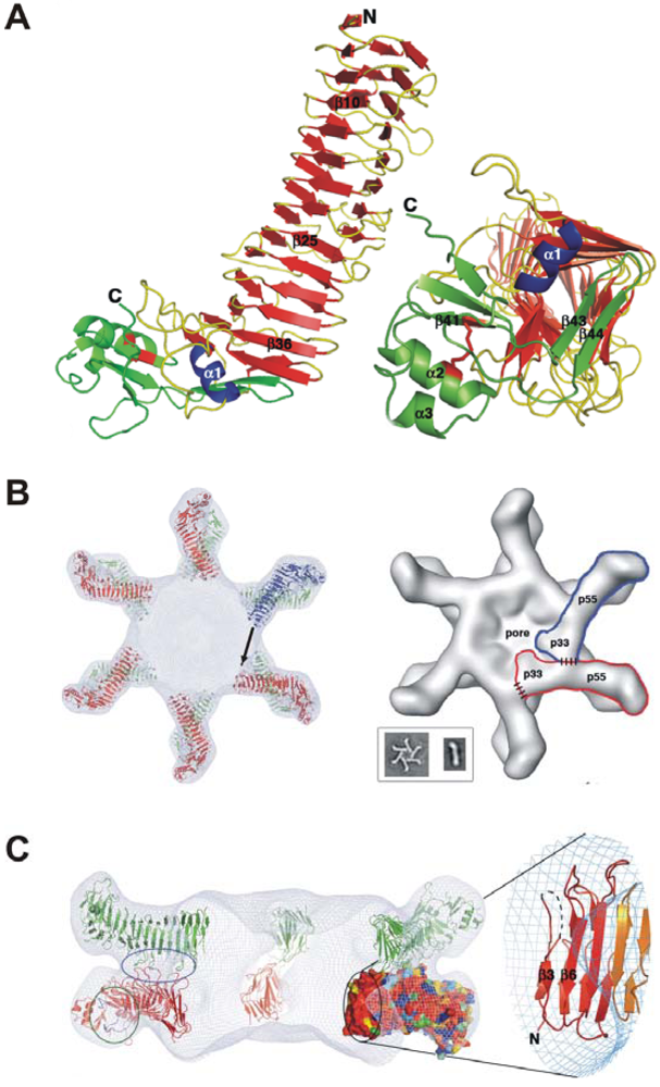 Toxins 02 00069 g002