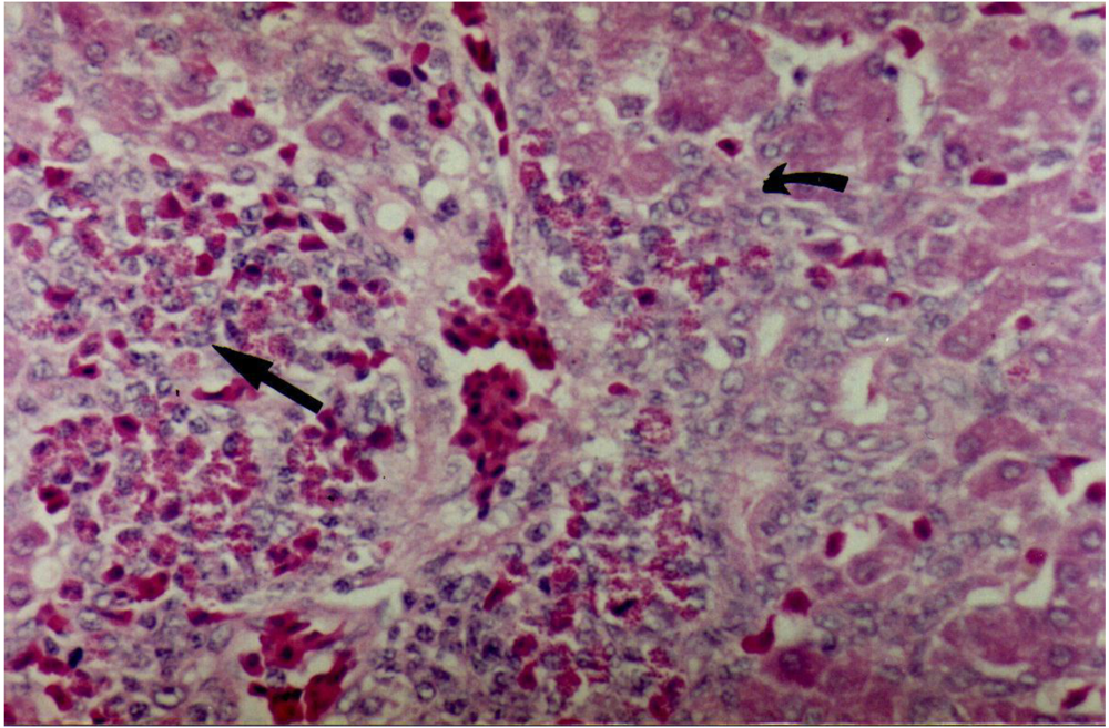 Toxins 02 00453 g001 1024