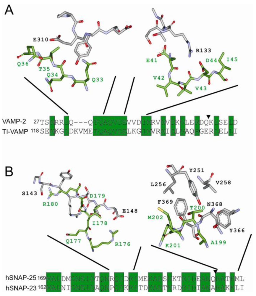 Toxins 02 00665 g005