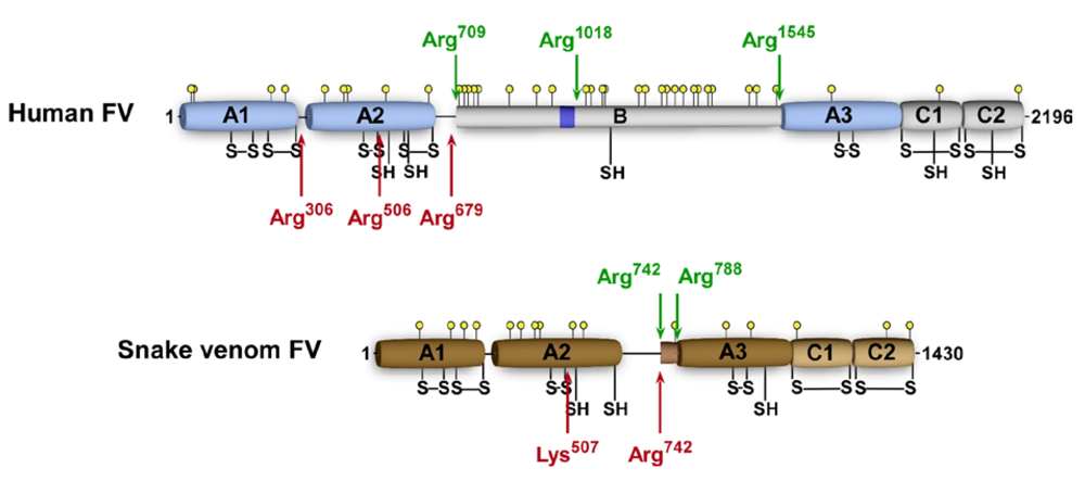Toxins 02 01554 g002
