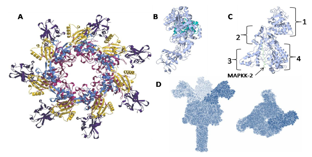 Toxins 02 01612 g006 1024
