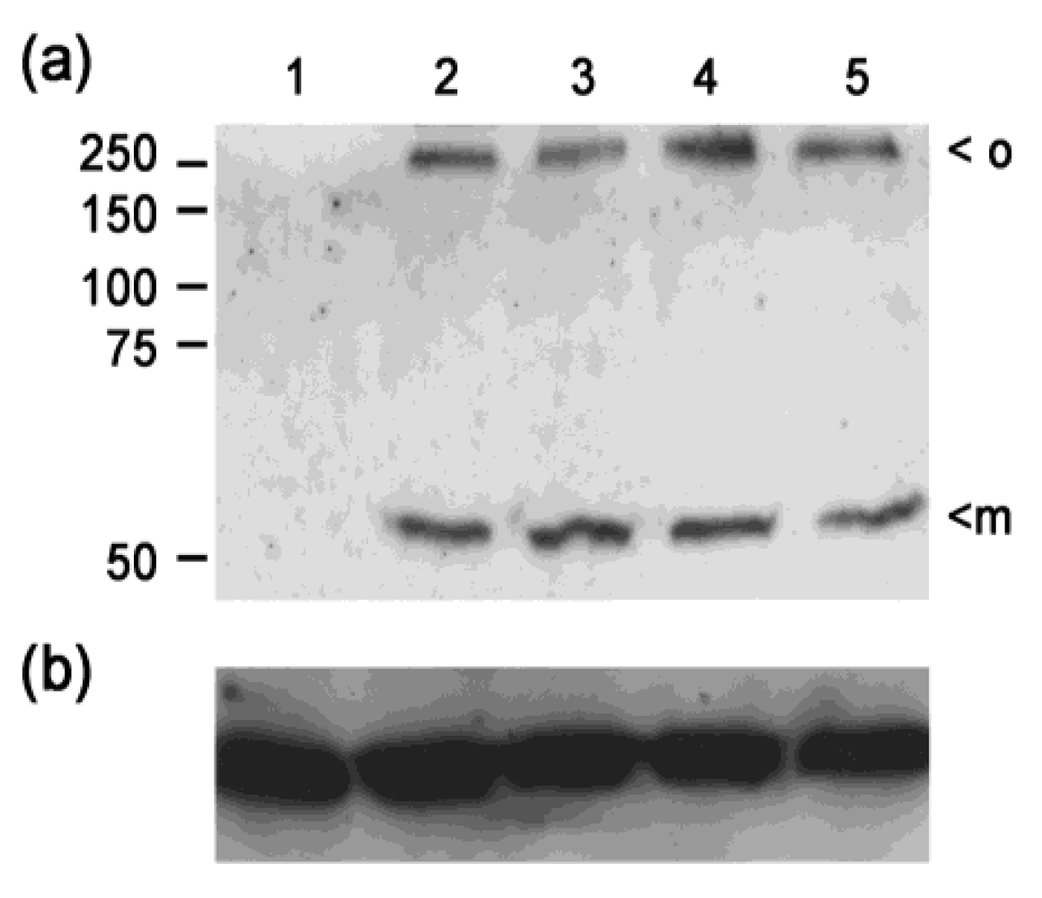 Toxins 02 01825 g004