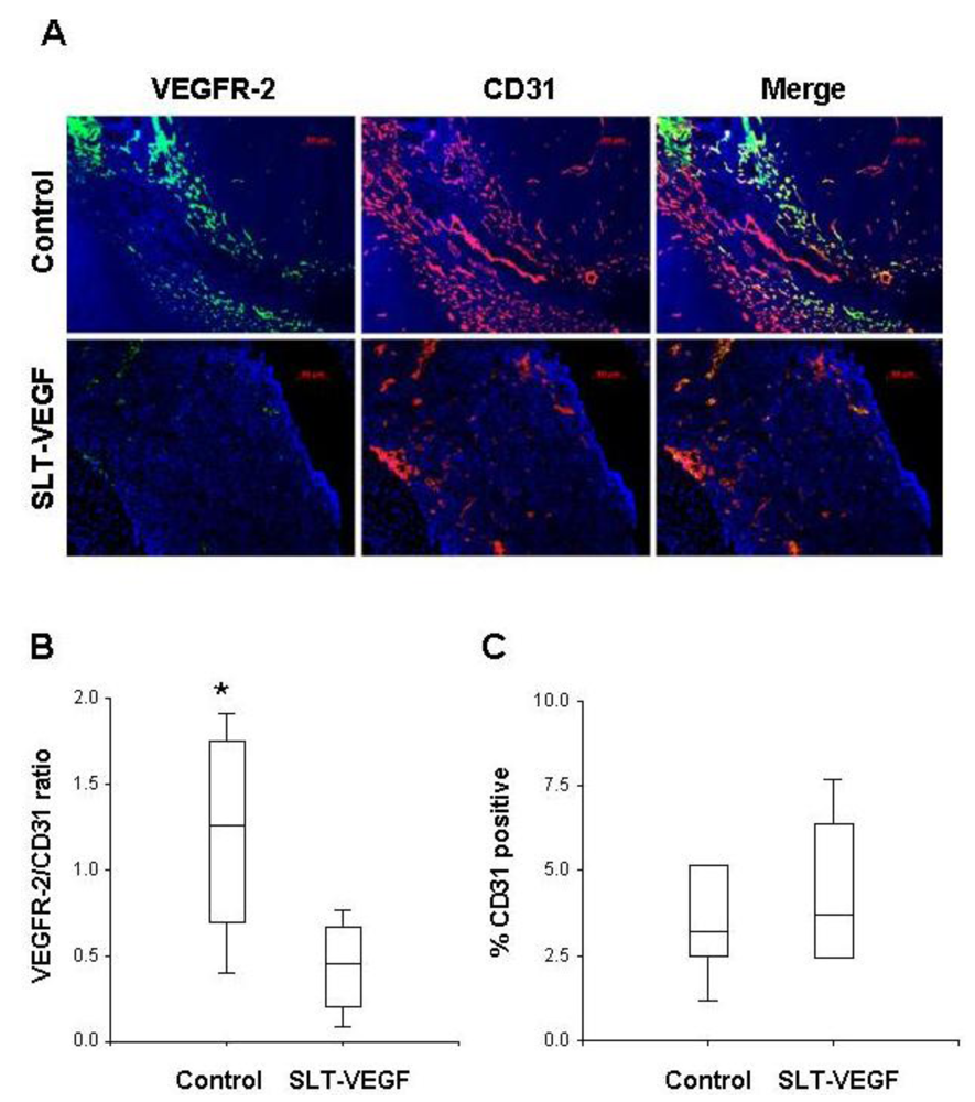 Toxins 02 02242 g003 1024