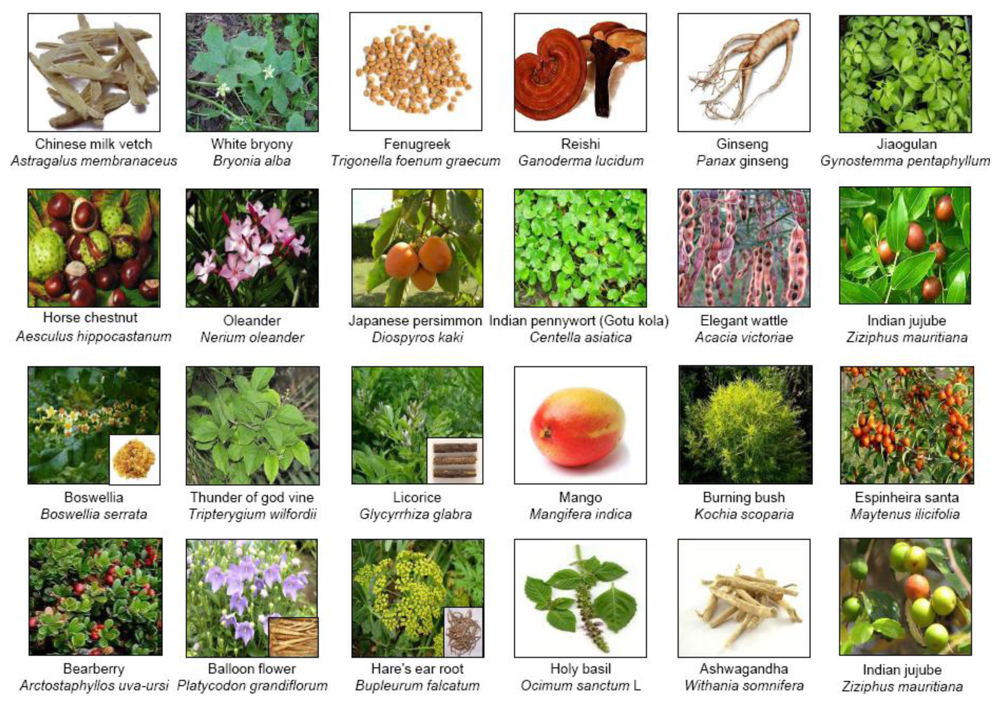 Toxins 02 02428 g002