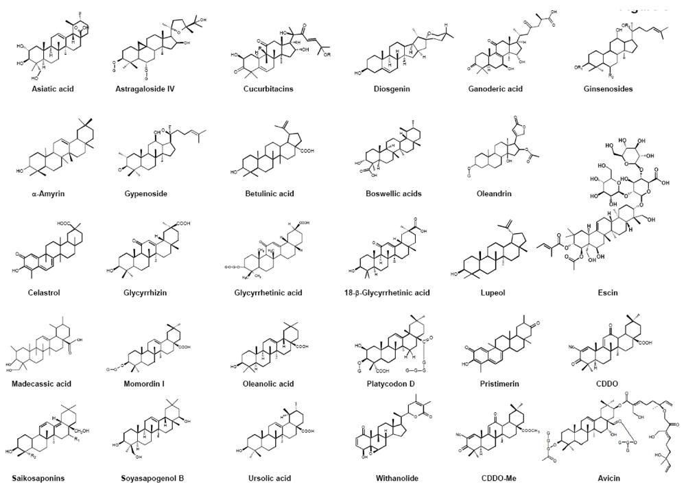 Targeting Inflammatory Pathways by Triterpenoids for