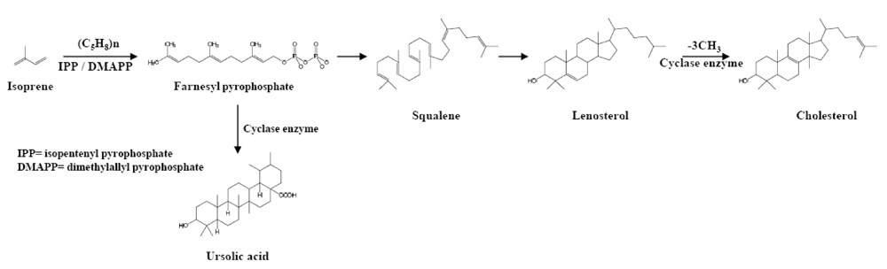 Toxins 02 02428 g004