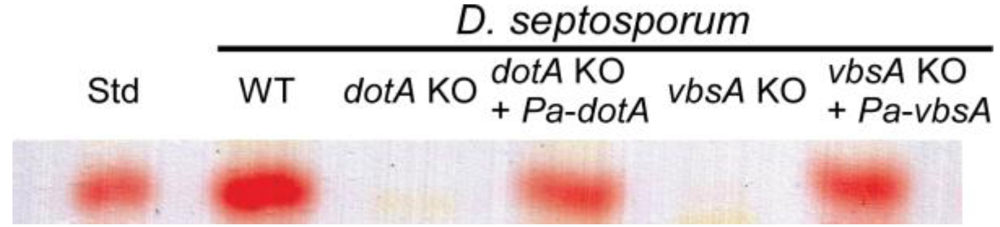 Toxins 02 02738 g001