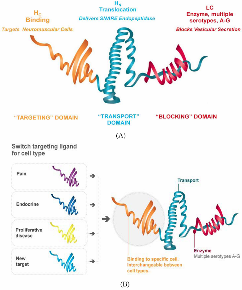 Toxins 02 02795 g001