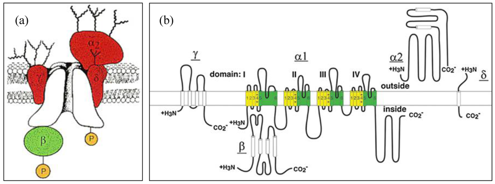 Toxins 03 00017 g002 1024