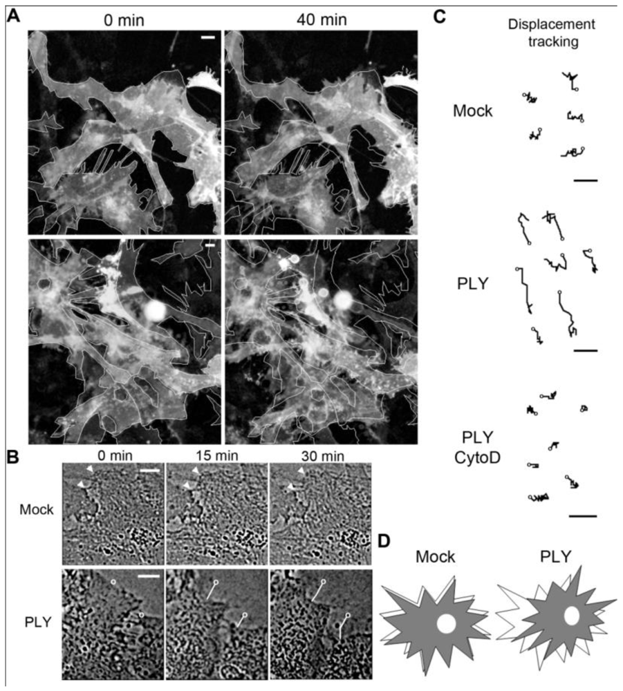 Toxins 03 00043 g001 1024