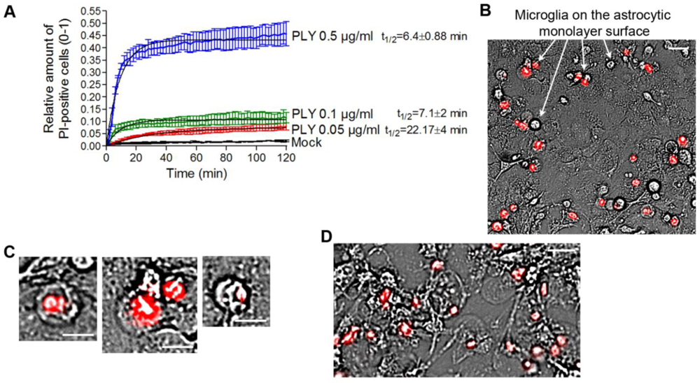 Toxins 03 00043 g003 1024