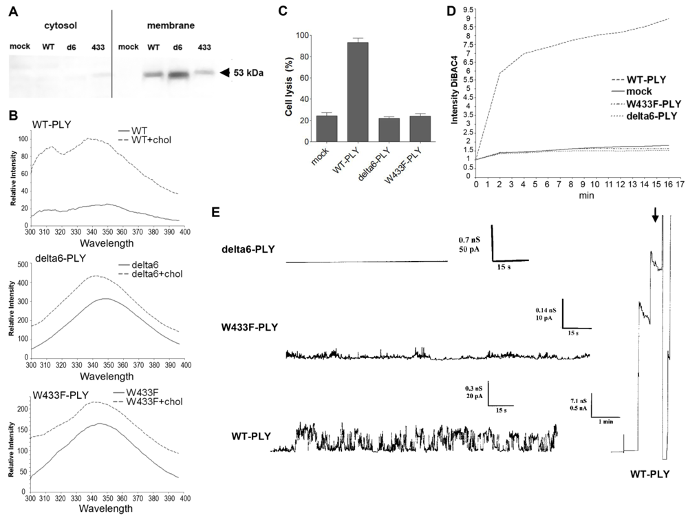 Toxins 03 00043 g004 1024
