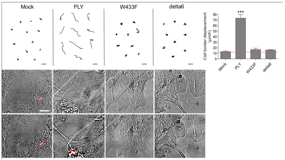 Toxins 03 00043 g005 1024