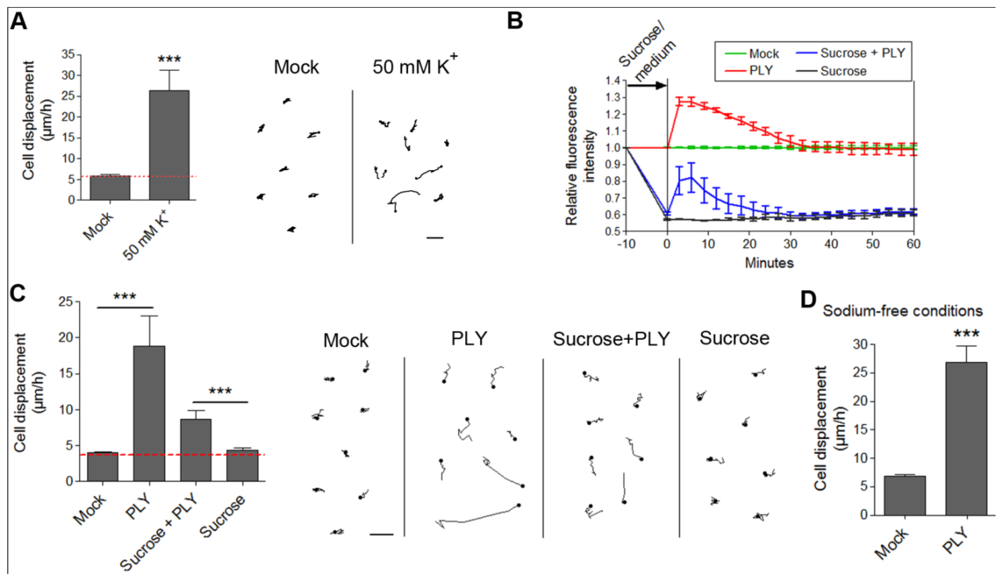 Toxins 03 00043 g006 1024