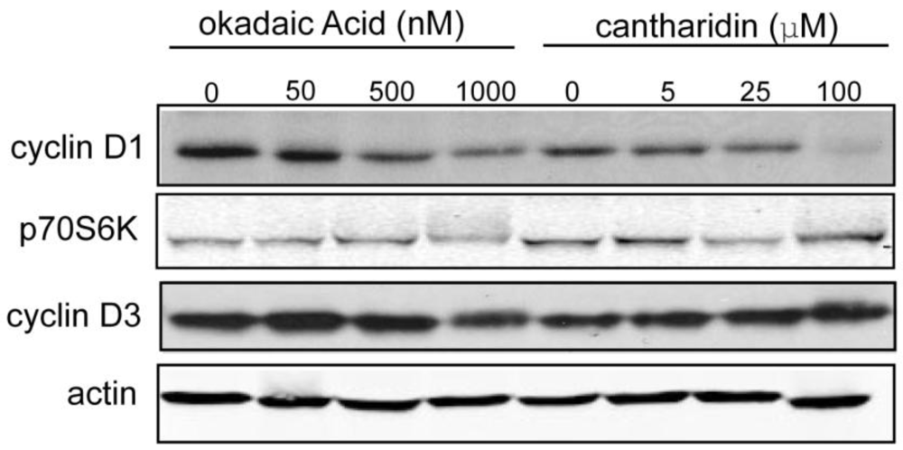 Toxins 03 00105 g004 1024