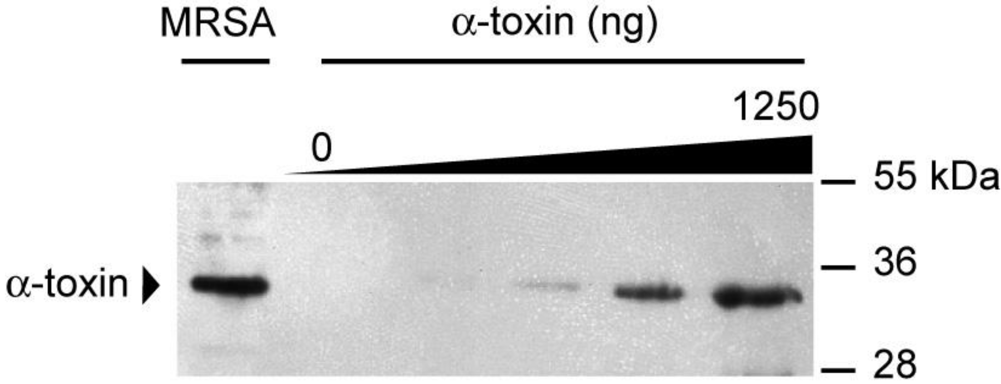 Toxins 03 00120 g005 550