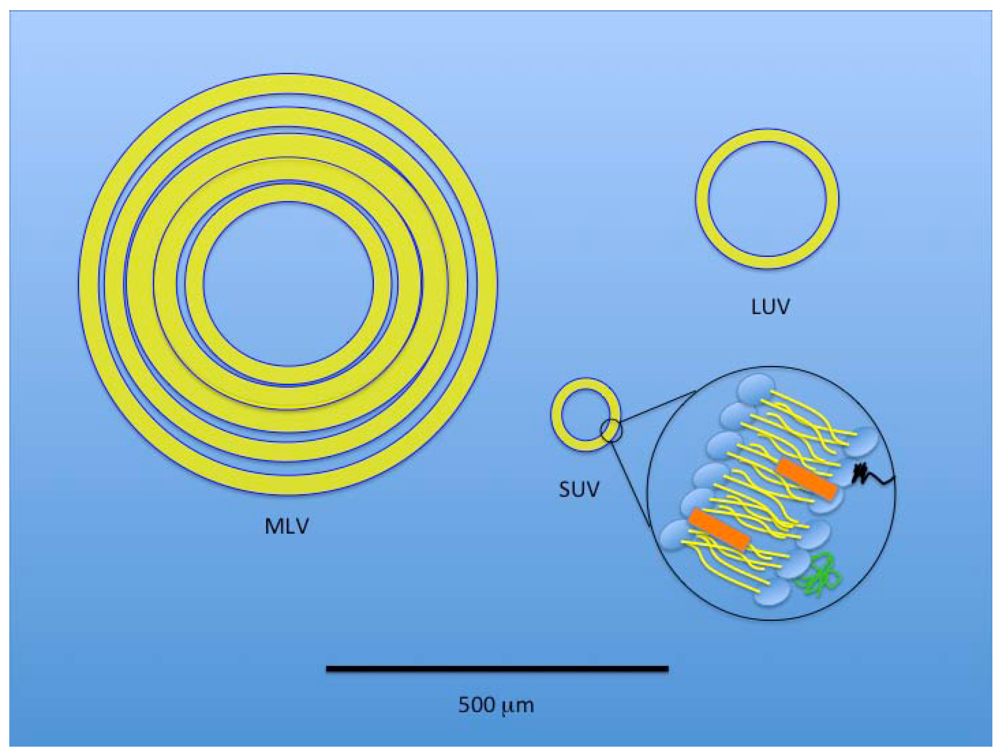 Toxins 03 00369 g004