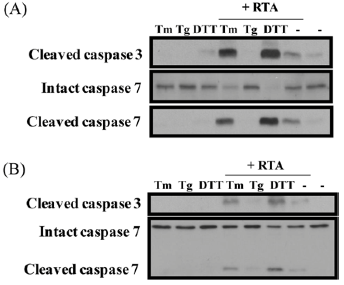 Toxins 03 00453 g008 1024