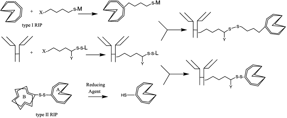 Toxins 03 00848 g002