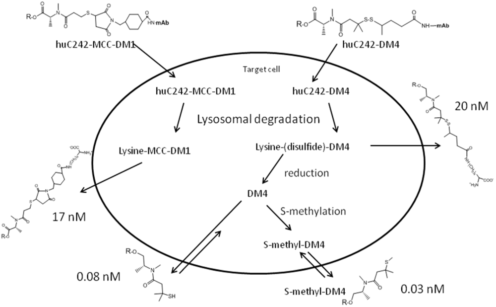 Toxins 03 00848 g010