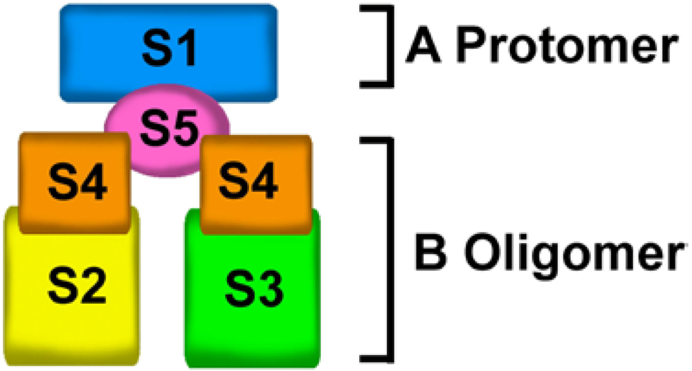 Toxins 03 00884 g001 1024