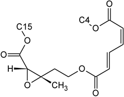 Toxins | Free Full-Text | Current and Future Experimental Strategies