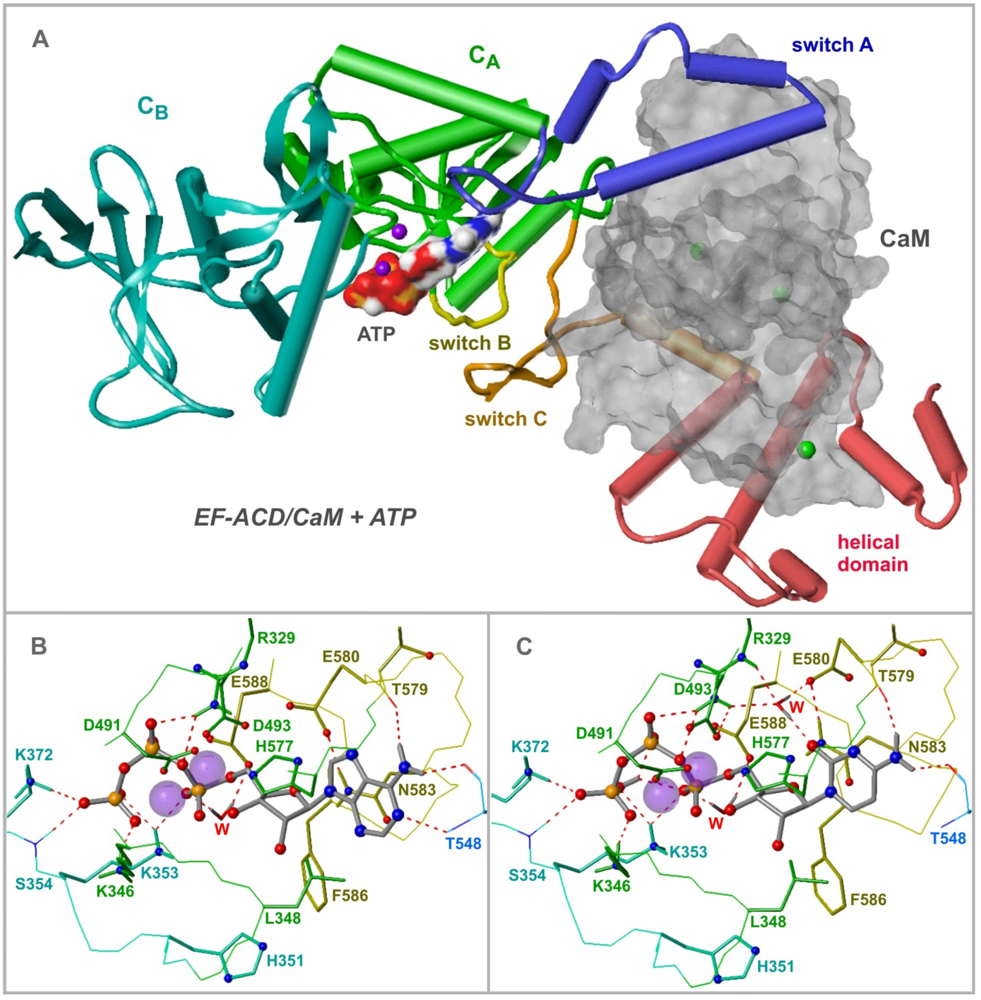 Toxins 04 00505 g005 1024