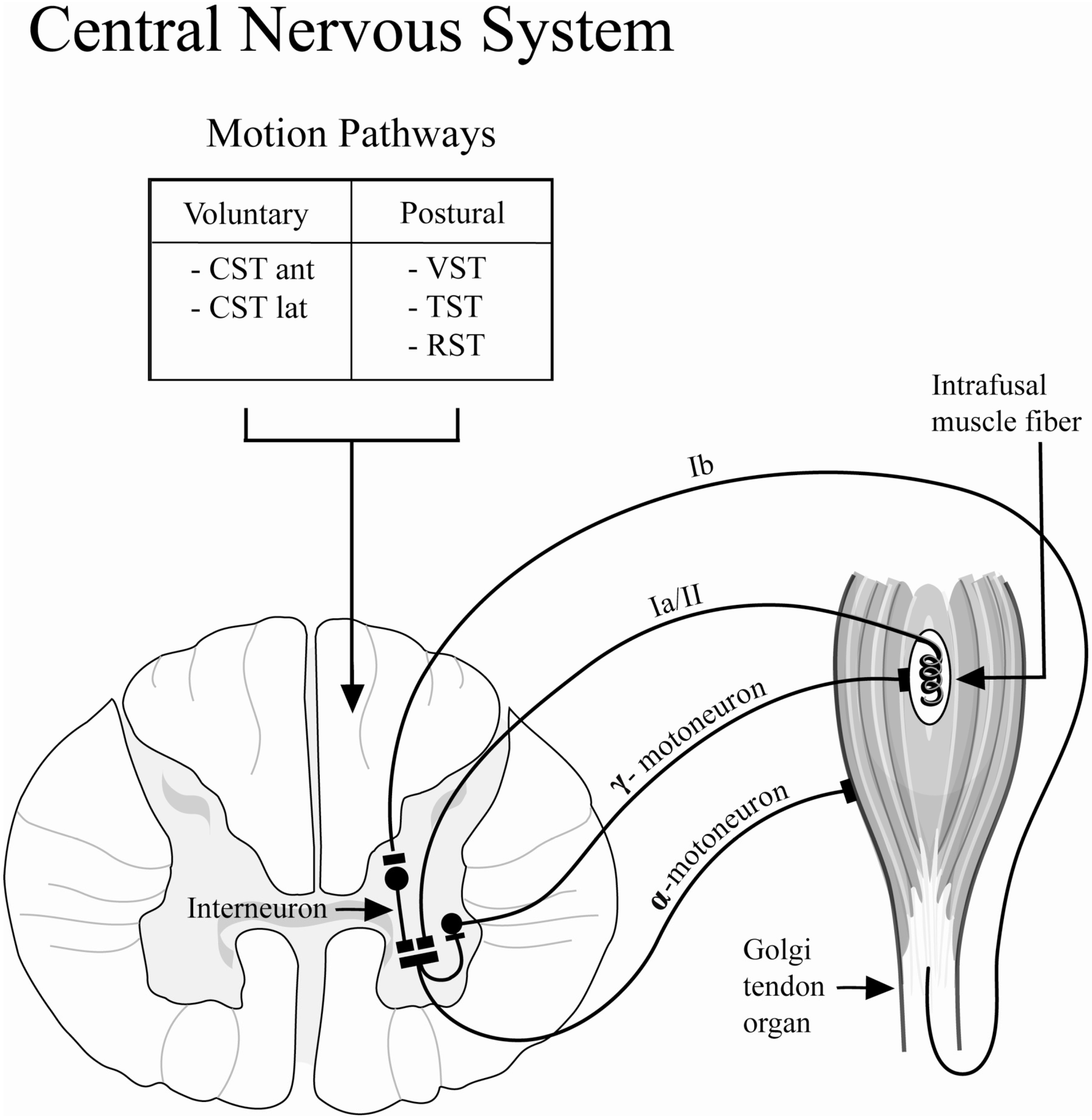 Toxins 04 00605 g005 1024