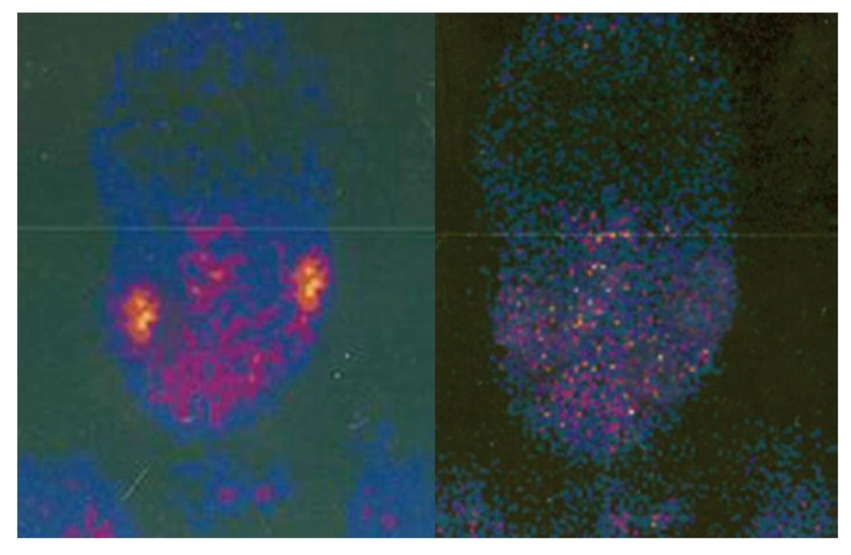 Toxins 04 00956 g001 1024