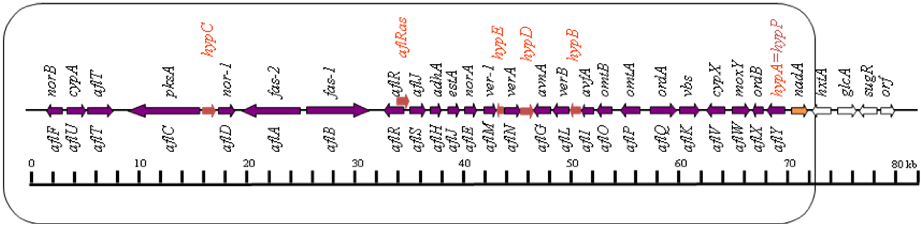Toxins 04 01024 g001