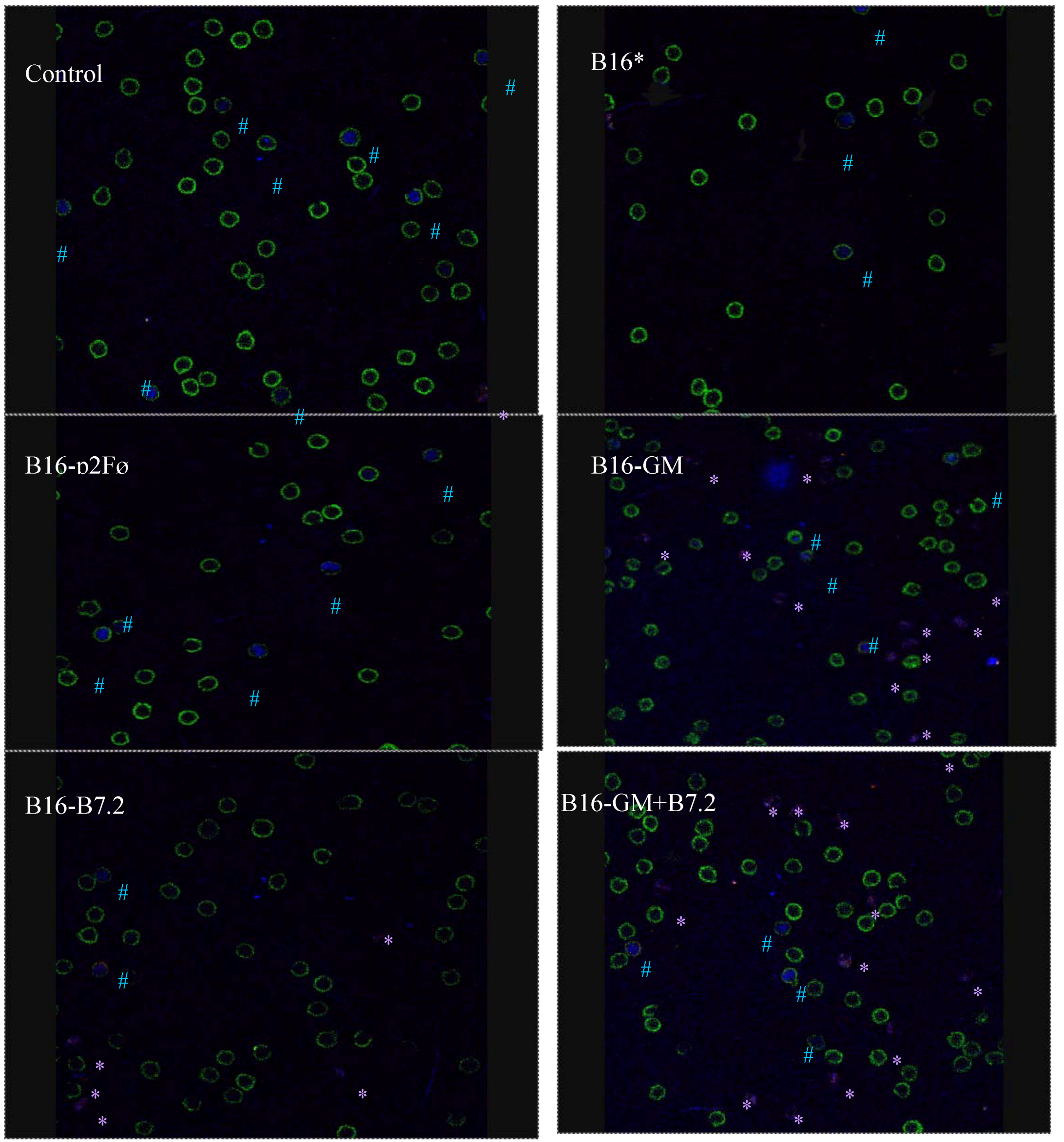Toxins 04 01058 g010