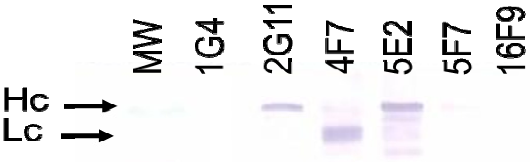 Toxins 04 01565 g003 1024